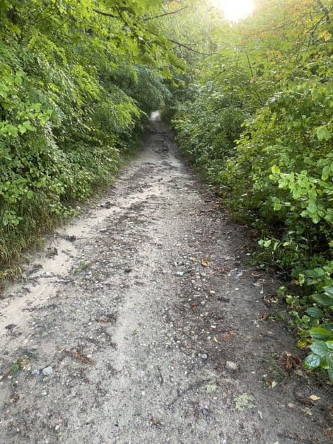 My first marathon training - a journal of my progress over 16 weeks